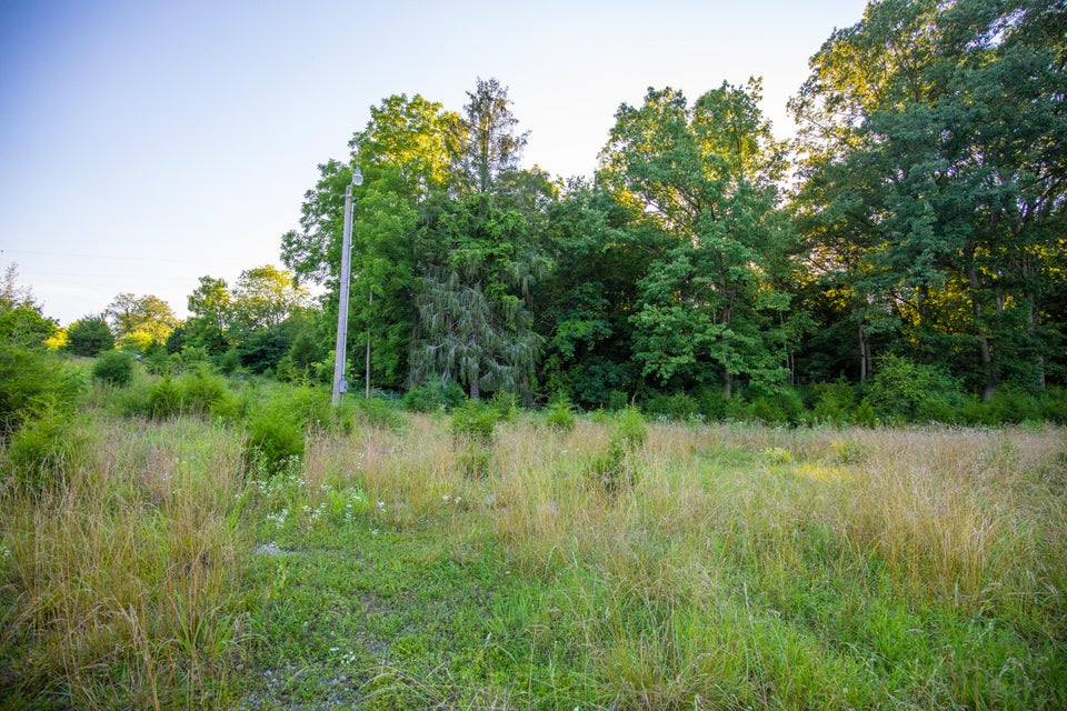 Photo #10: 259 Crussell Drive