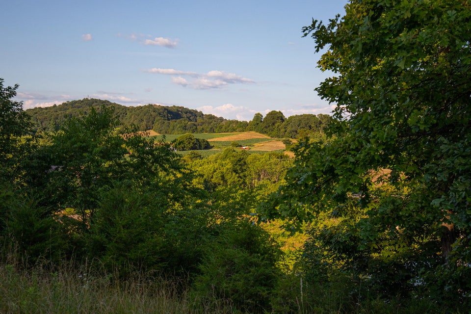 Photo #11: 259 Crussell Drive