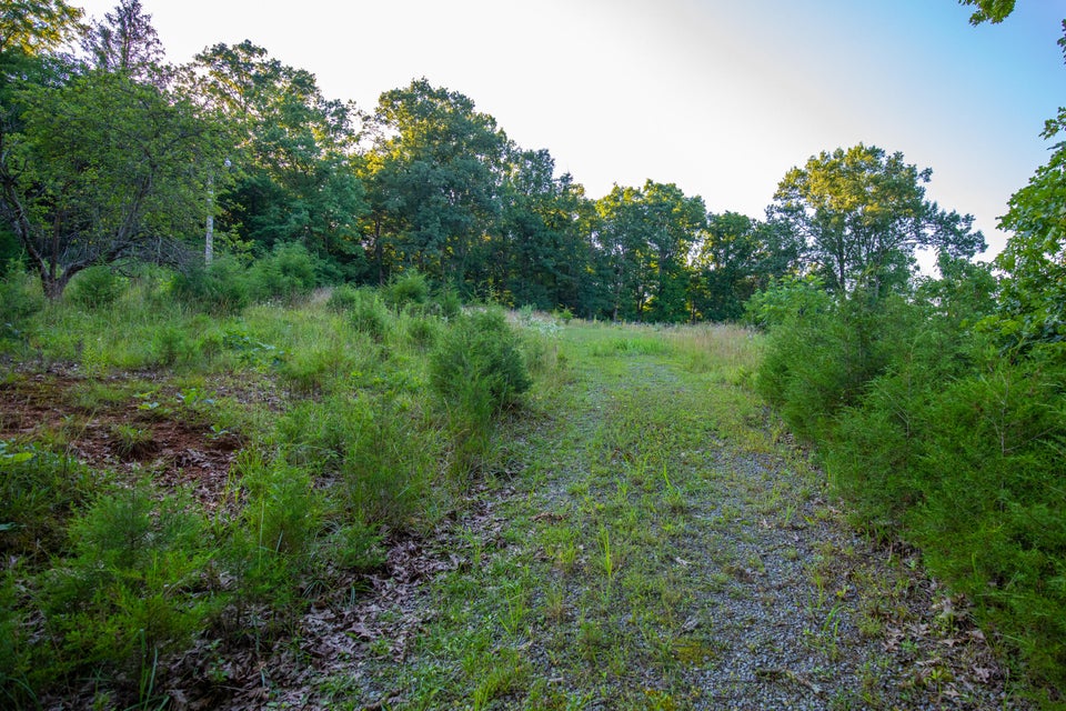 Photo #12: 259 Crussell Drive