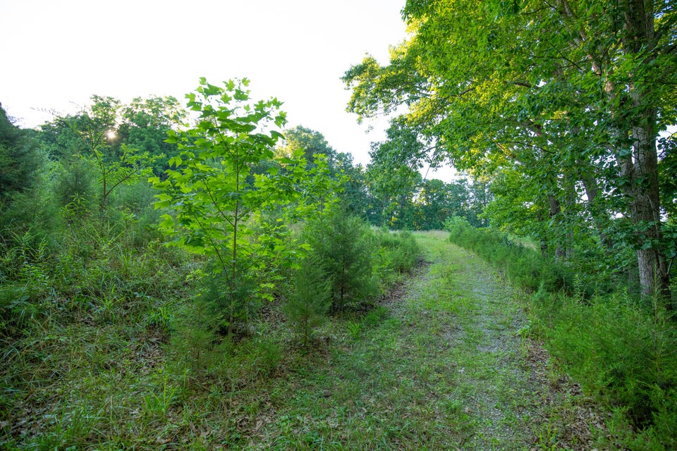 Photo #13: 259 Crussell Drive