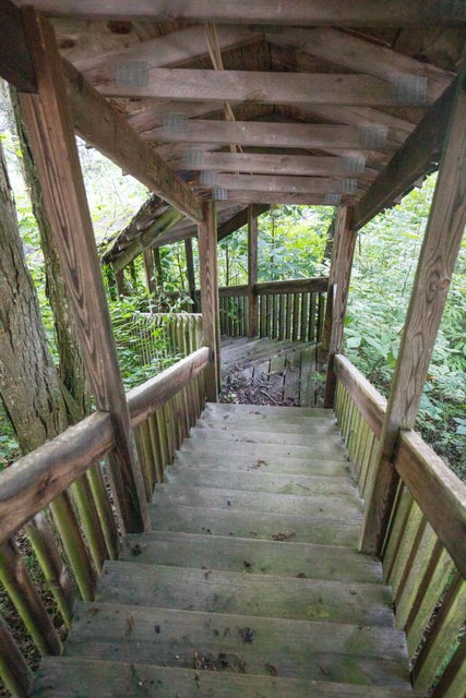 Photo #16: 259 Crussell Drive