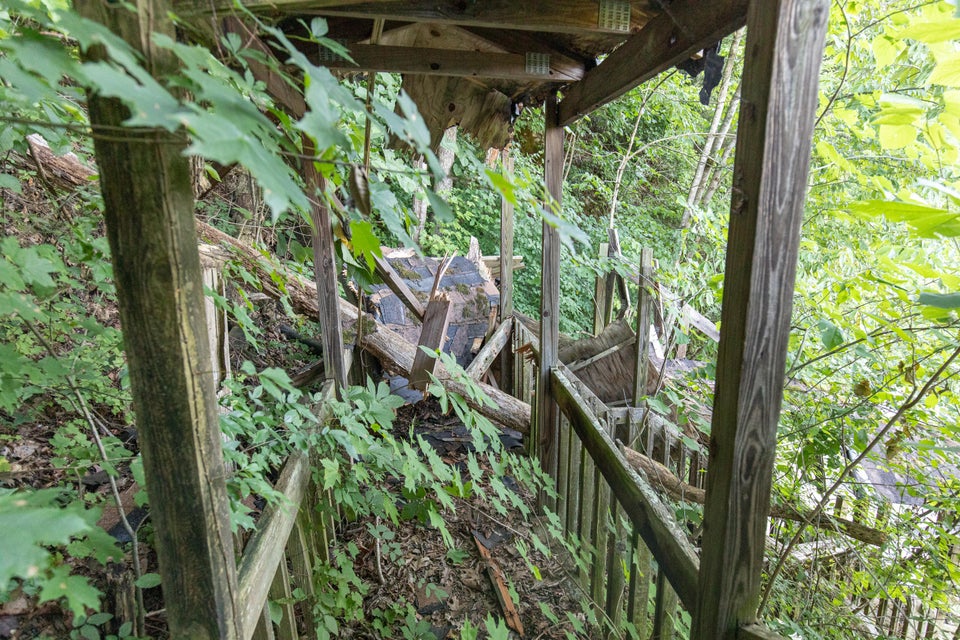Photo #17: 259 Crussell Drive