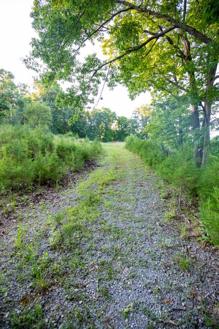 Photo #21: 259 Crussell Drive