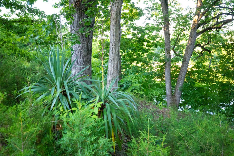 Photo #22: 259 Crussell Drive