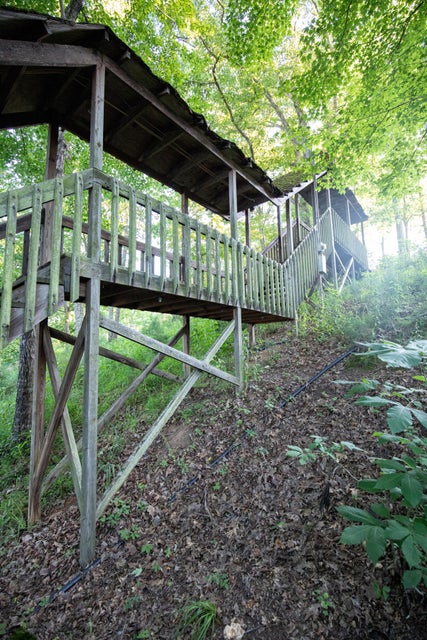 Photo #24: 259 Crussell Drive
