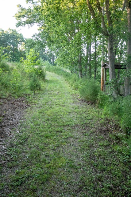 Photo #27: 259 Crussell Drive
