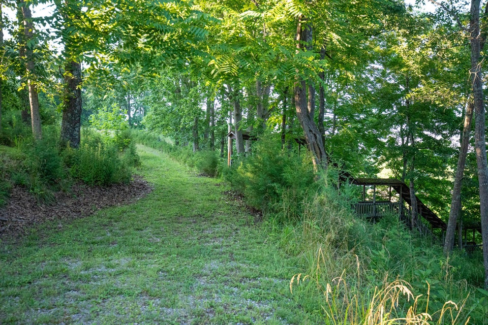 Photo #28: 259 Crussell Drive