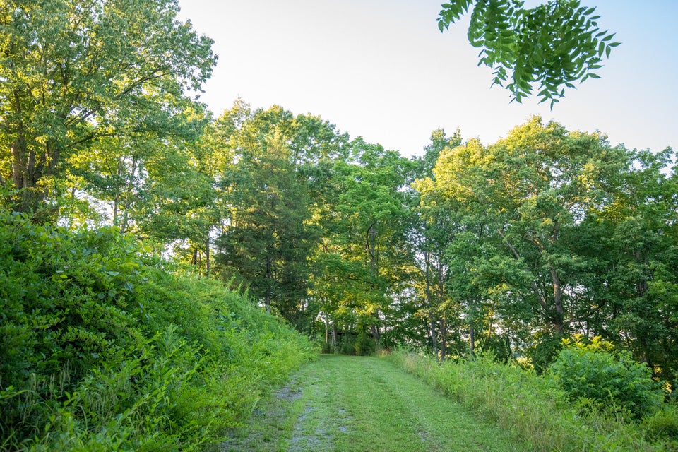 Photo #29: 259 Crussell Drive