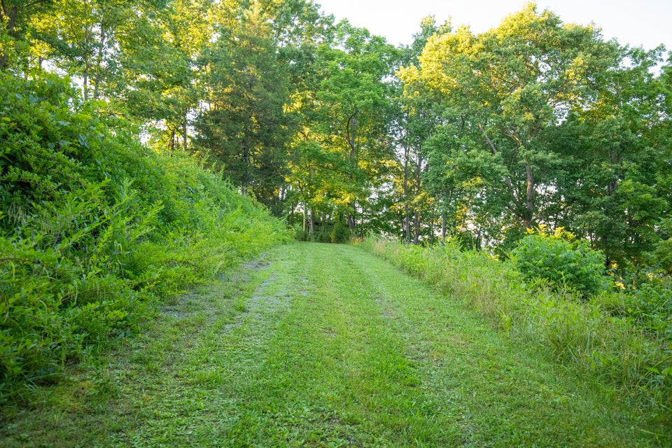 Photo #30: 259 Crussell Drive