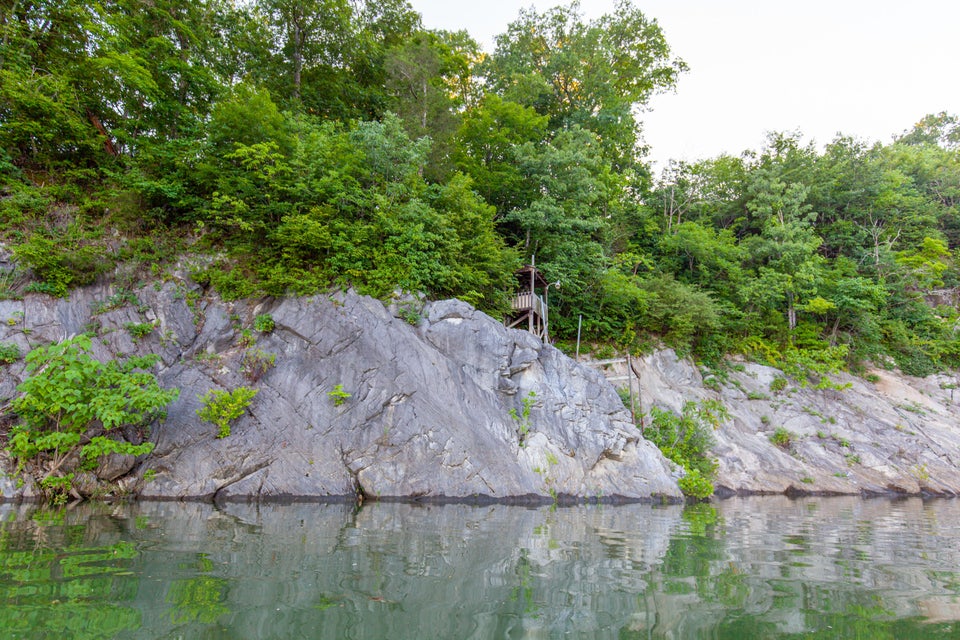 Photo #31: 259 Crussell Drive