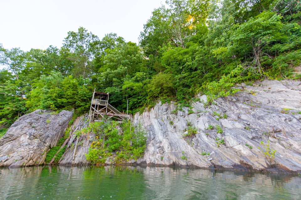 Photo #35: 259 Crussell Drive