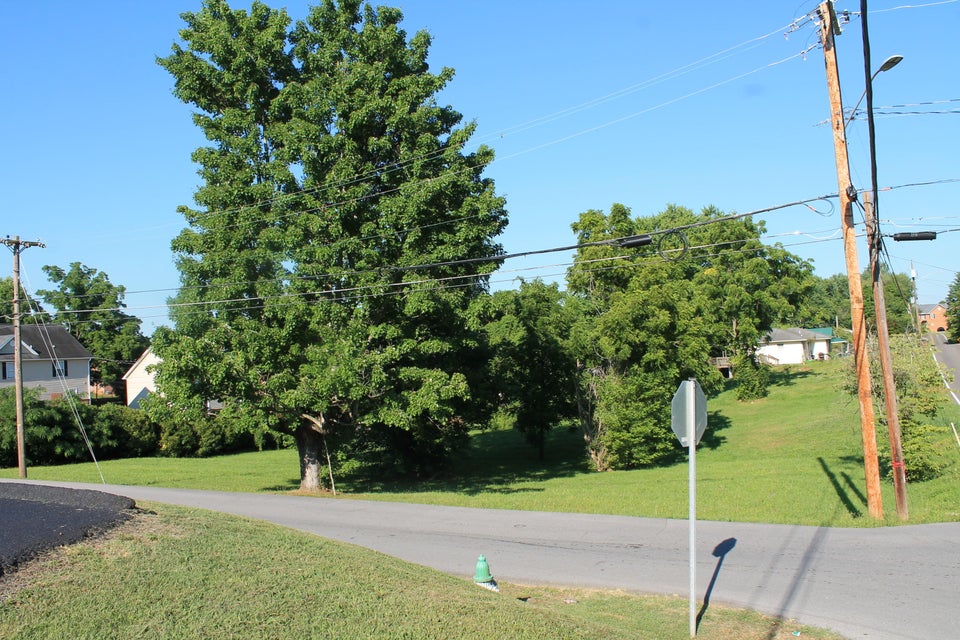 Photo #3: 1703 Skyline Drive