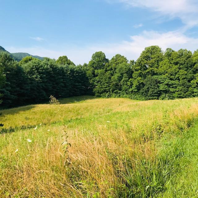 Photo #3: Tbd Hillcrest Farms Road