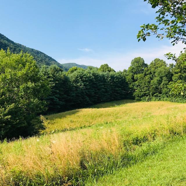 Photo #5: Tbd Hillcrest Farms Road