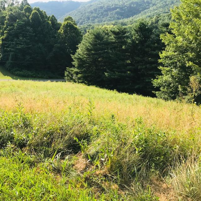 Photo #6: Tbd Hillcrest Farms Road