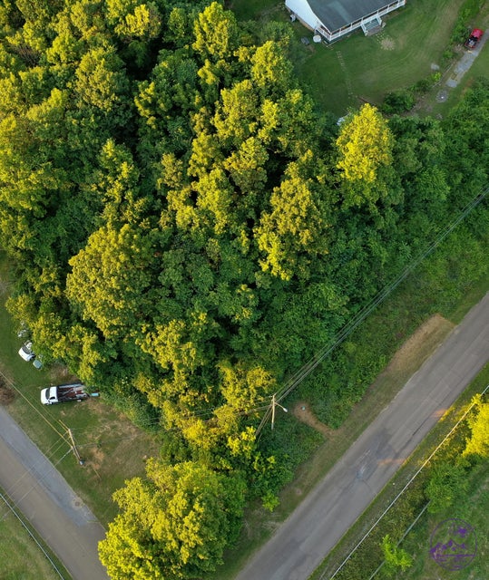 Photo #9: Tbd Miami Drive