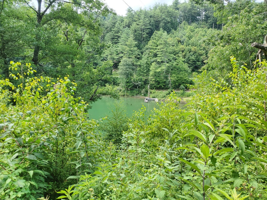 Photo #1: Tbd Sink Valley Road