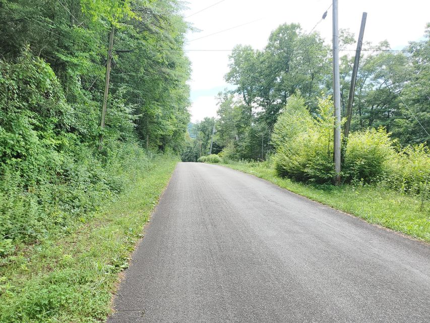 Photo #2: Tbd Sink Valley Road
