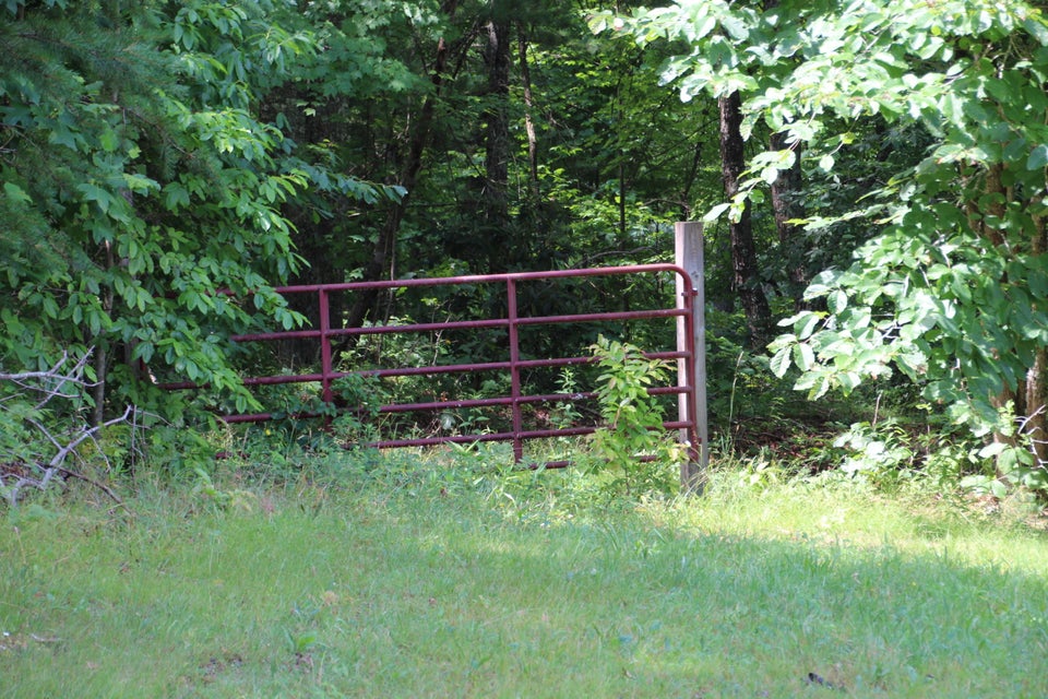 Photo #12: 369 Dye Leaf Road