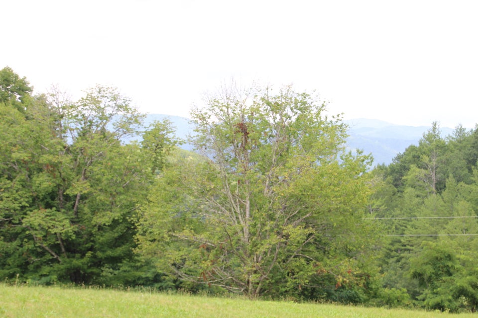 Photo #4: 369 Dye Leaf Road