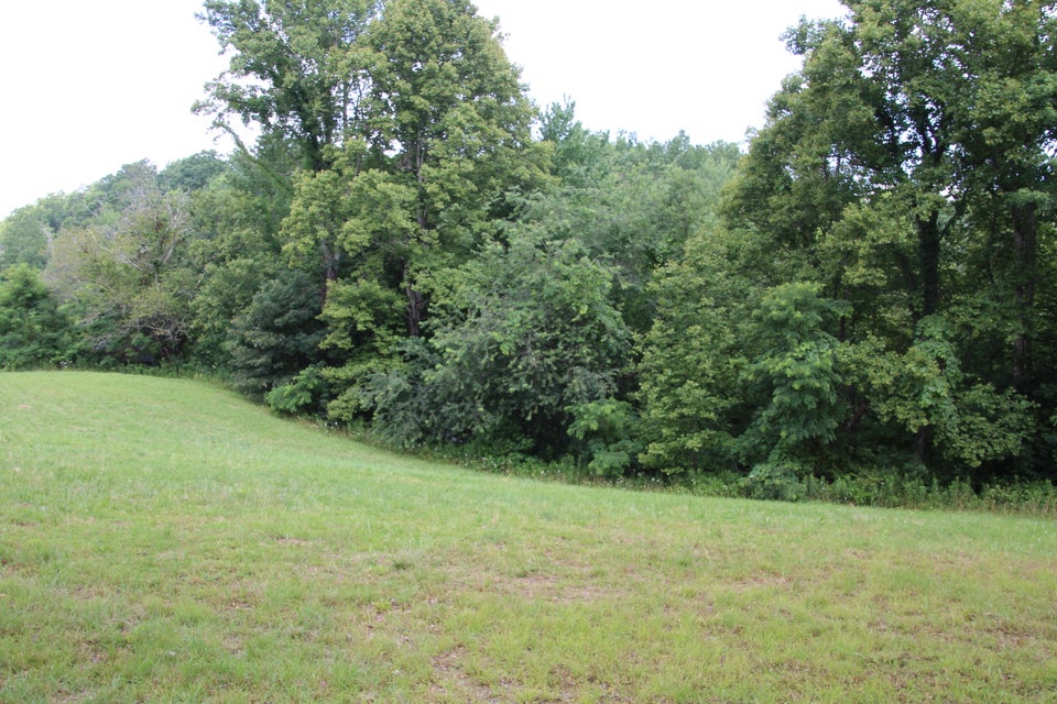 Photo #8: 369 Dye Leaf Road