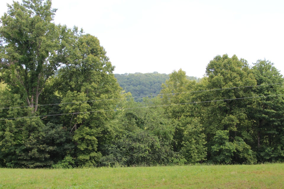 Photo #6: 369 Dye Leaf Road