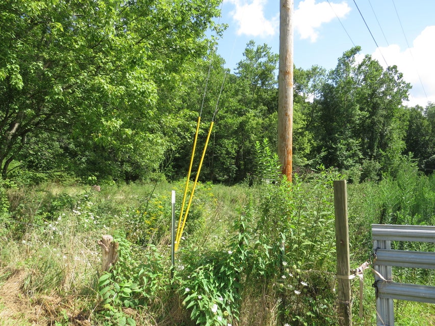 Photo #2: 00 Hash Hollow Road
