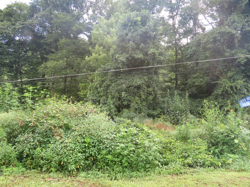 Photo #3: 00 Hash Hollow Road