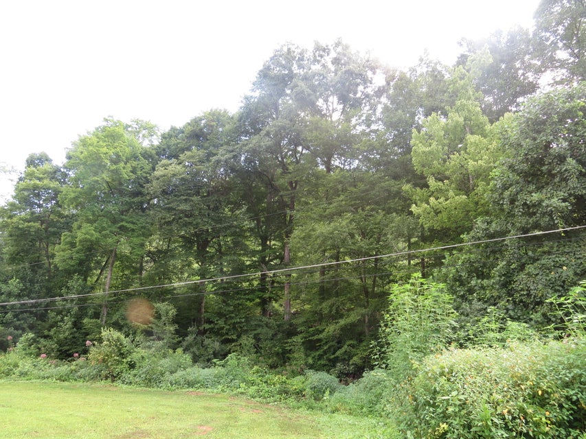 Photo #4: 00 Hash Hollow Road