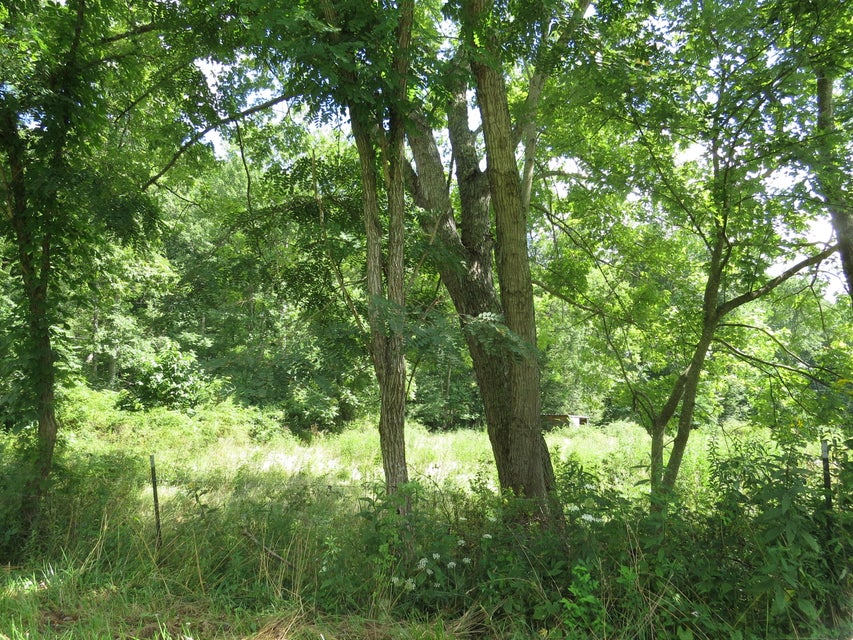 Photo #5: 00 Hash Hollow Road
