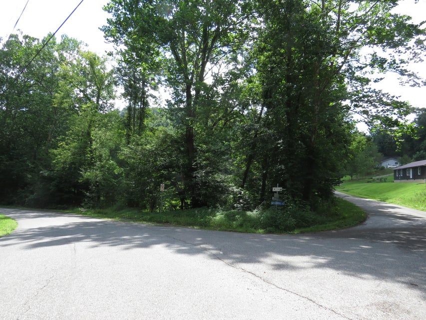 Photo #6: 00 Hash Hollow Road