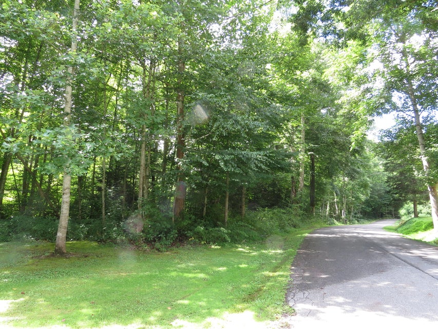 Photo #8: 00 Hash Hollow Road