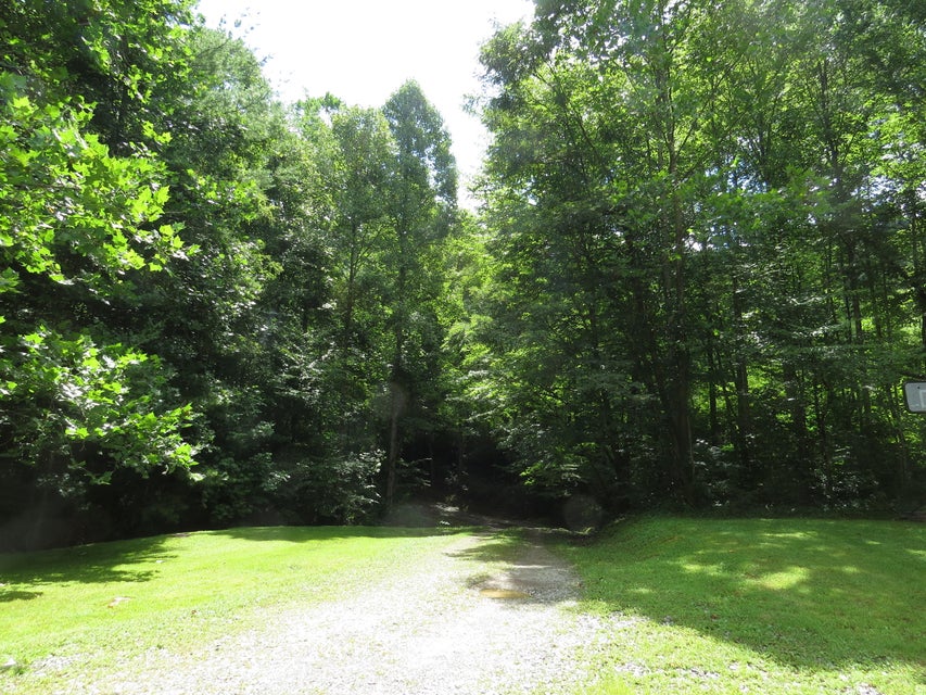 Photo #9: 00 Hash Hollow Road