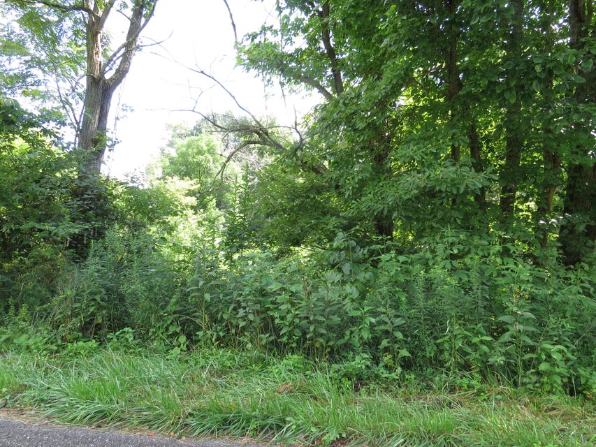 Photo #10: 00 Hash Hollow Road
