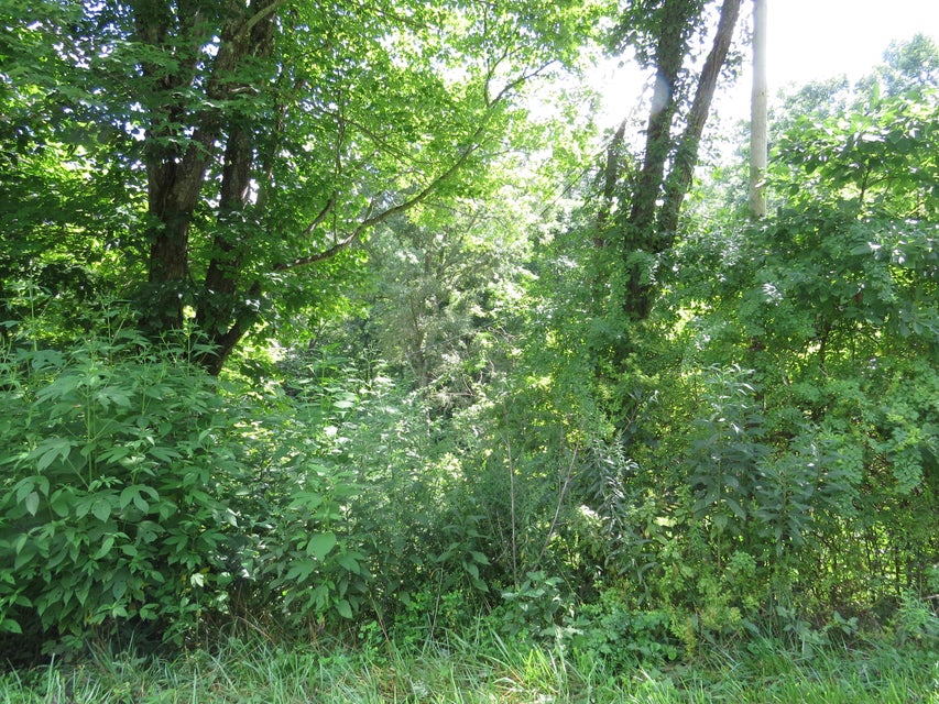 Photo #11: 00 Hash Hollow Road