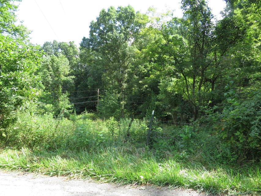 Photo #12: 00 Hash Hollow Road