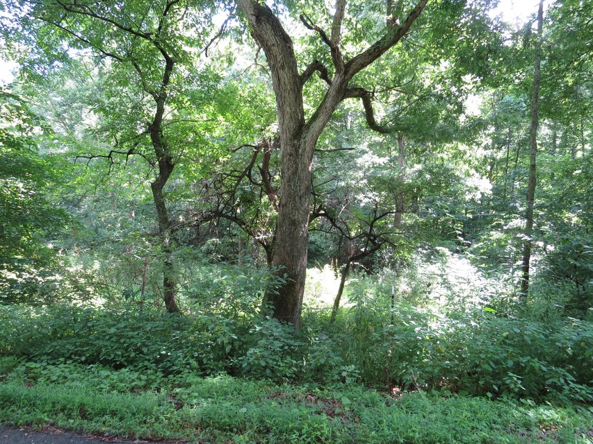 Photo #13: 00 Hash Hollow Road