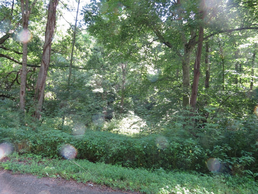 Photo #14: 00 Hash Hollow Road