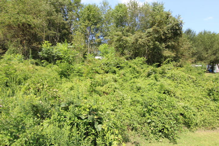 Photo #2: 000 Eldridge Lane