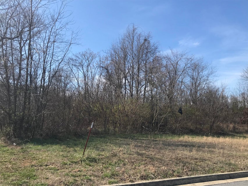 Photo #55: 1435 70 Tn Hwy Bypass / Heritage Court