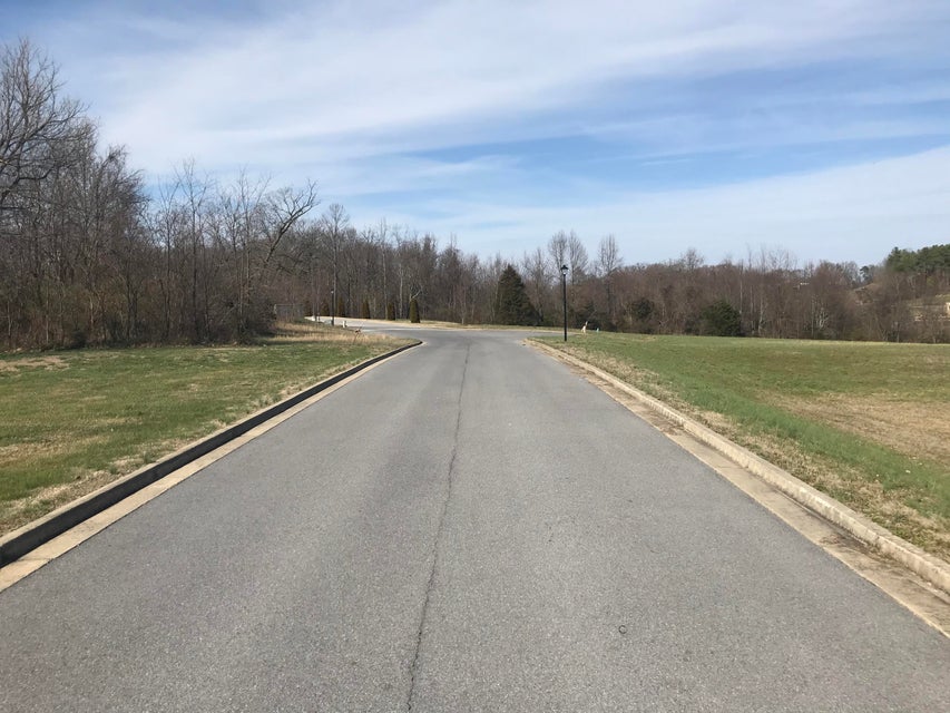 Photo #55: 1435 70 Tn Hwy Bypass / Heritage Court