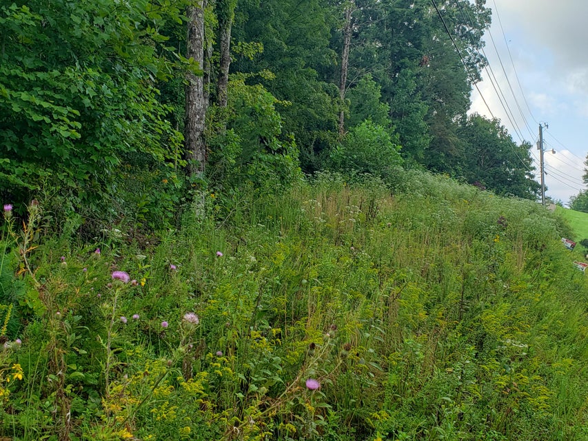 Photo #2: Tbd Lakeview Drive