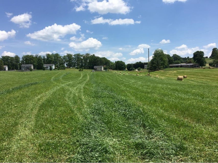 Photo #1: Tbd Painter Road