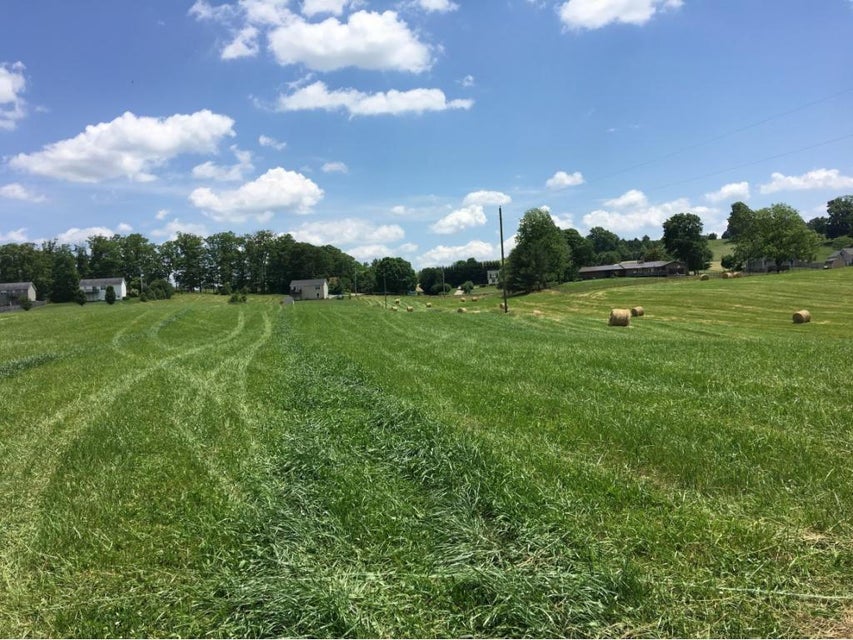 Photo #3: Tbd Painter Road
