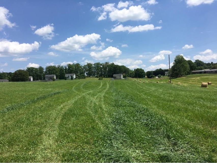 Photo #4: Tbd Painter Road
