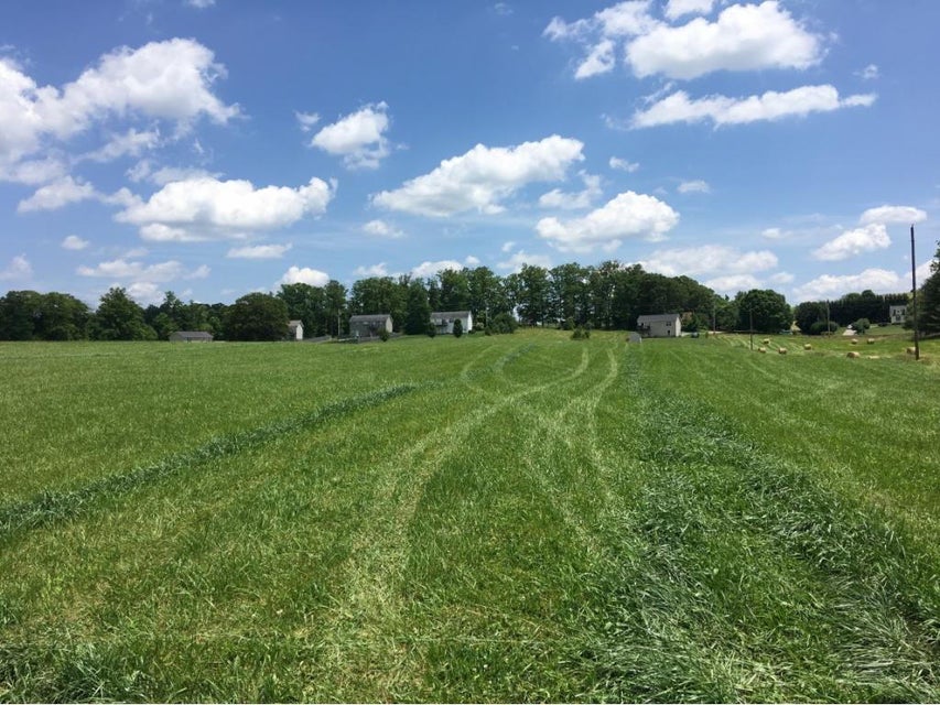 Photo #5: Tbd Painter Road
