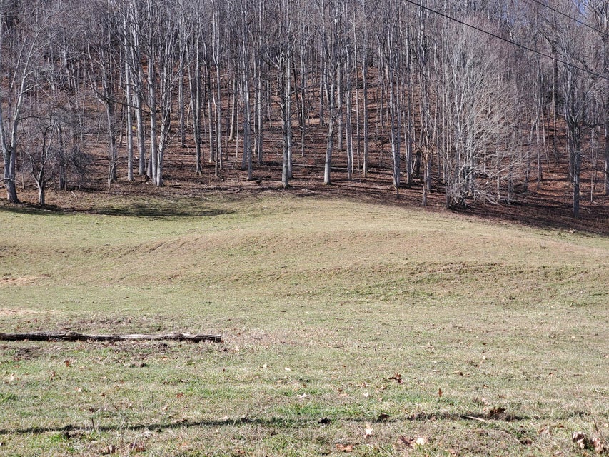 Photo #24: Tbd Highway 143