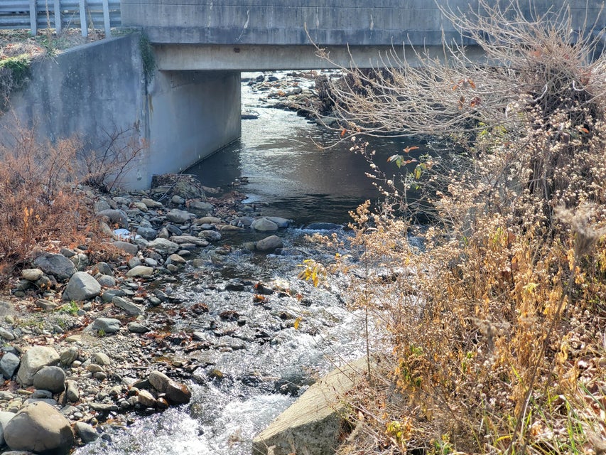 Photo #30: Tbd Highway 143