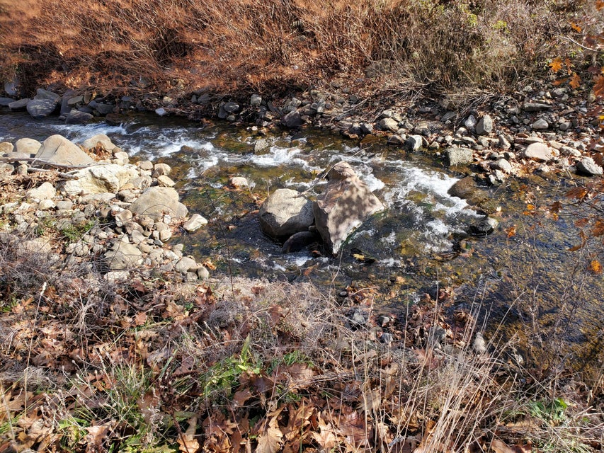 Photo #32: Tbd Highway 143