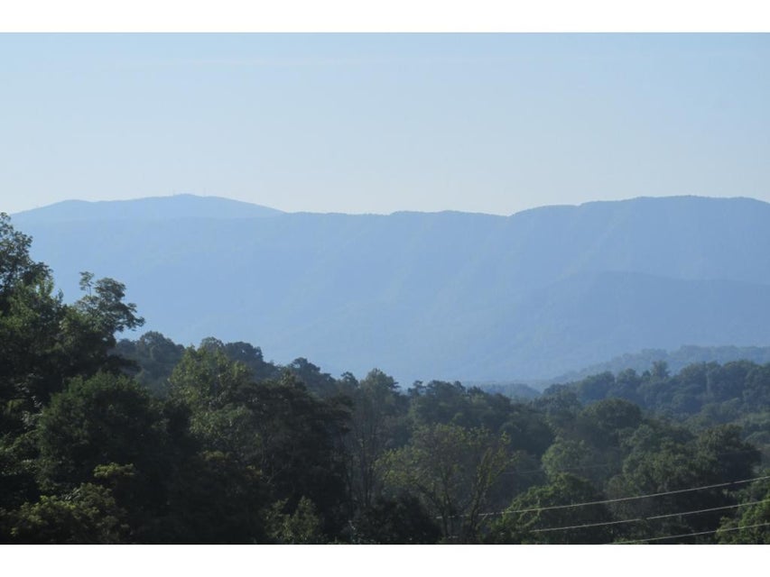Photo #1: Tbd Links View Drive